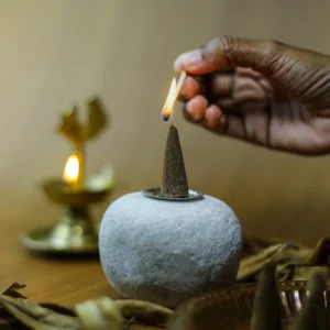 Sanjeevanam Orginal Dasangam Dhoop Cones