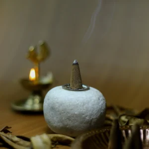 Sanjeevanam Orginal Dasangam Dhoop Cones