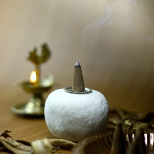 Sanjeevanam Orginal Dasangam Dhoop Cones